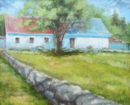 Naproti  25x36